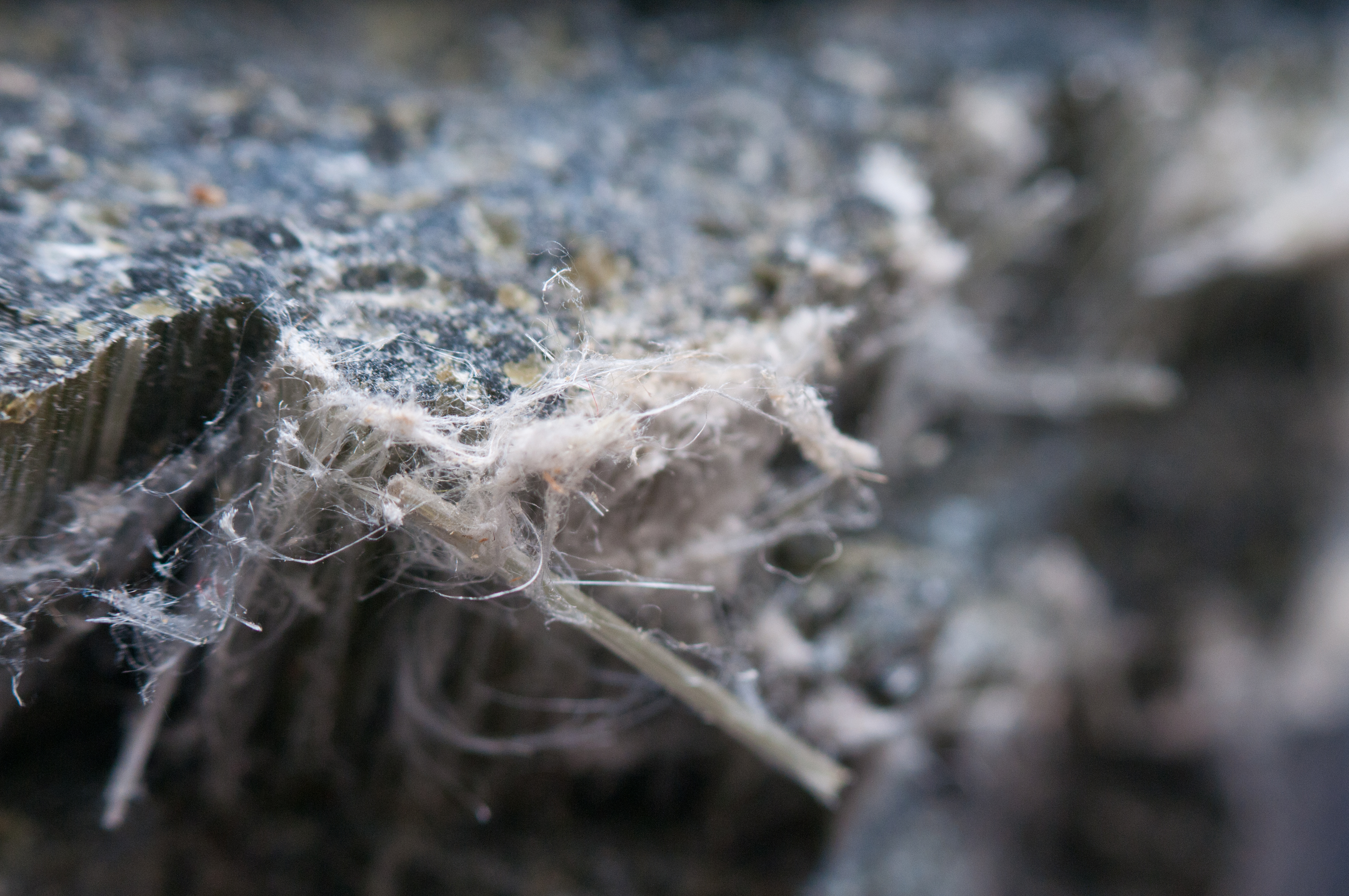 Extreme close-up of loose asbestos fibres on a textured surface