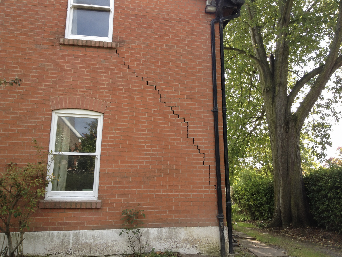 Diagonal subsidence crack in a brick wall beside a mature tree